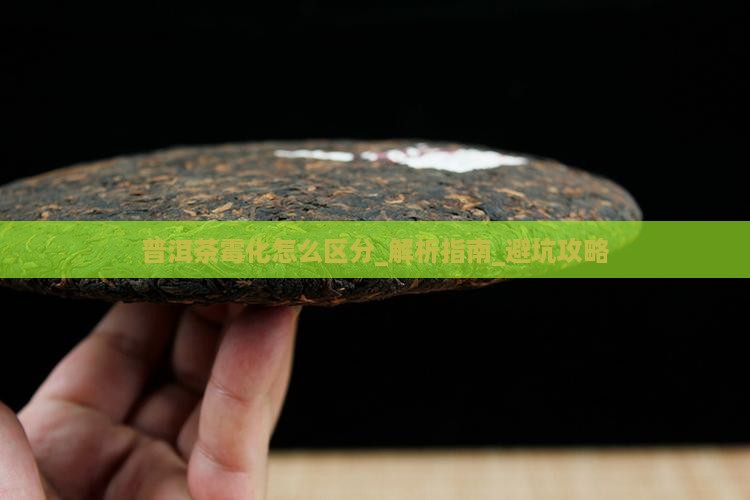 普洱茶霉化怎么区分
