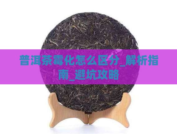 普洱茶霉化怎么区分