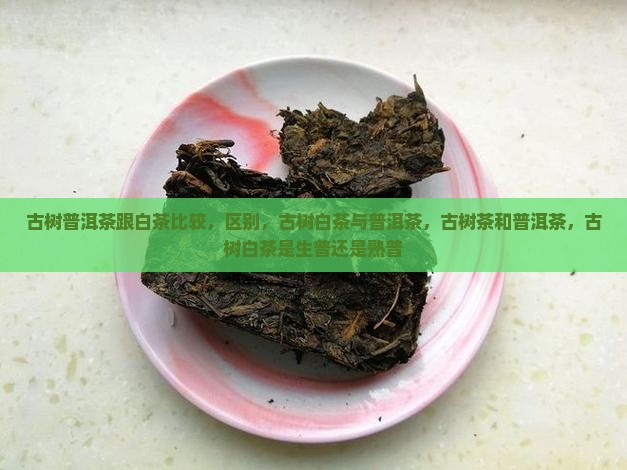 古树普洱茶跟白茶比较