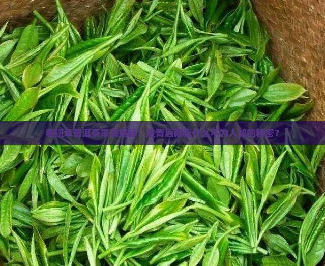 老班章普洱茶来源