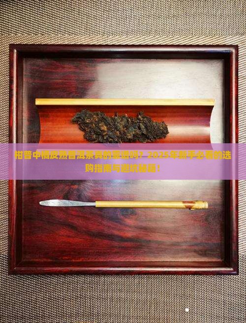 柑普中橘皮熟普洱茶