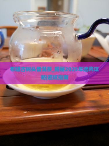 布朗古树头普洱茶