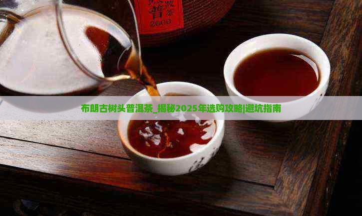 布朗古树头普洱茶