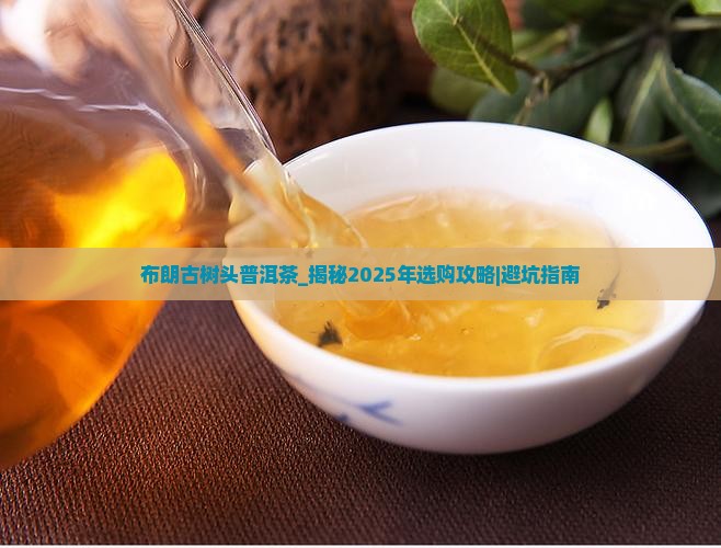 布朗古树头普洱茶