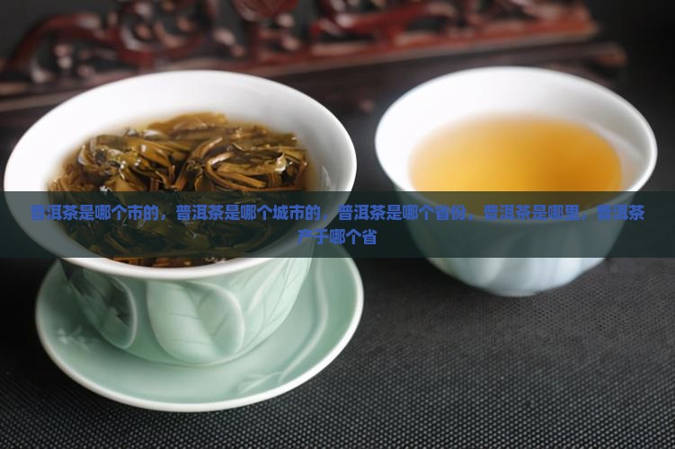 普洱茶是哪个市的