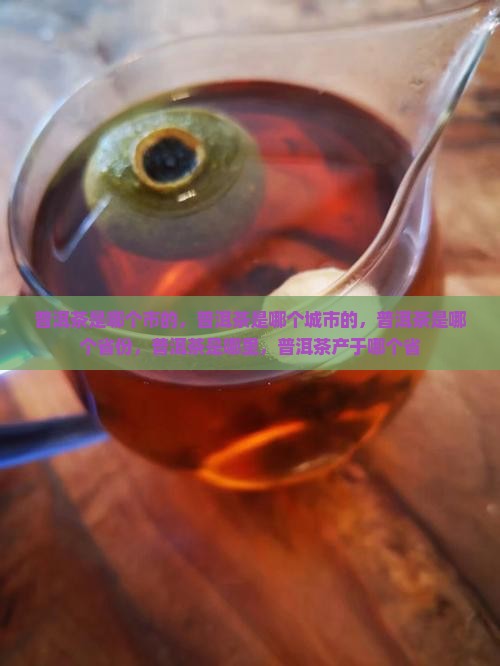 普洱茶是哪个市的