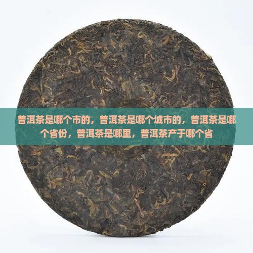 普洱茶是哪个市的