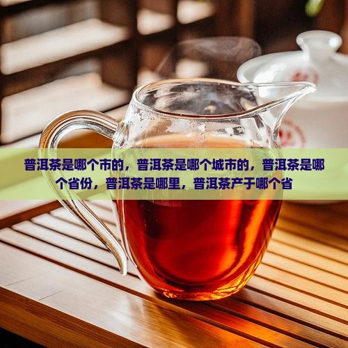 普洱茶是哪个市的