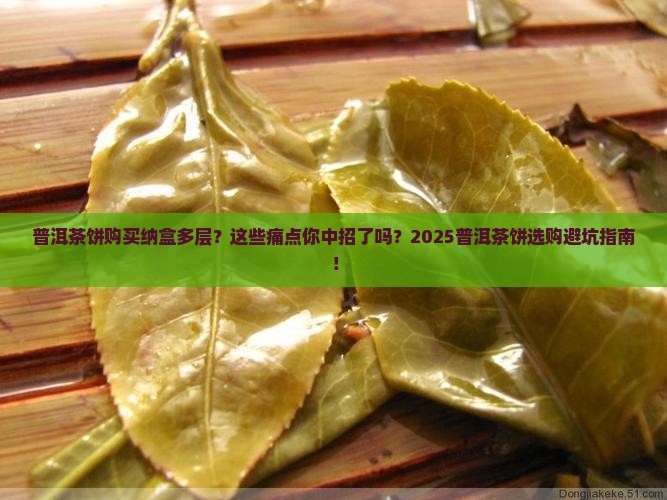 普洱茶饼购买纳盒多层