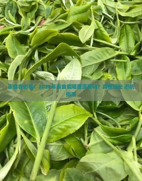 素食能喝普洱茶吗