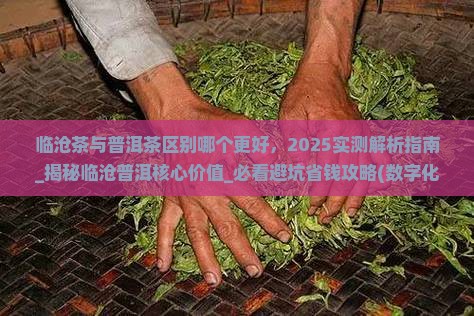临沧茶与普洱茶区别哪个更好