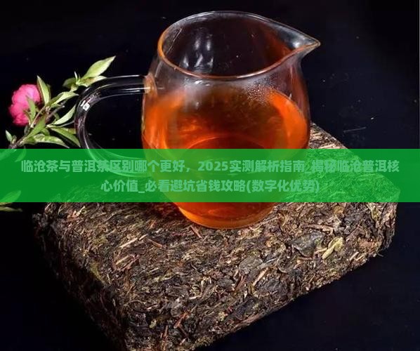 临沧茶与普洱茶区别哪个更好