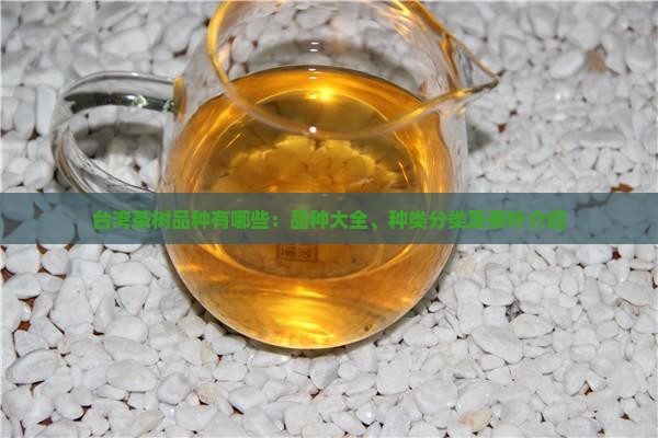 台湾茶树品种有哪些