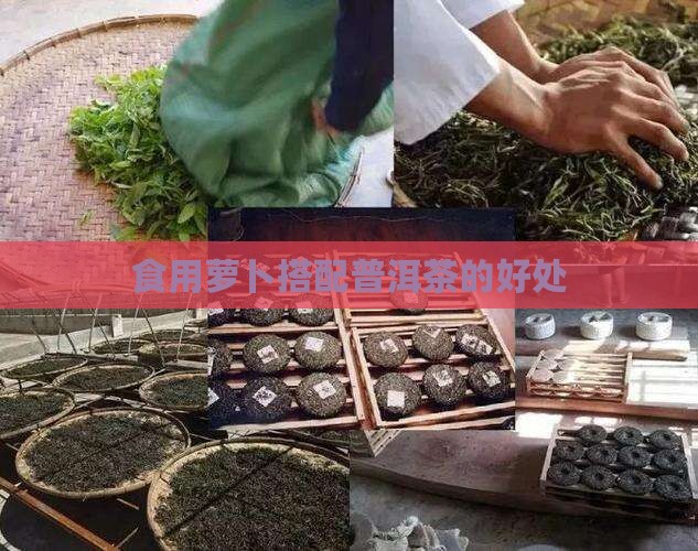 喝普洱茶吃萝卜的好处