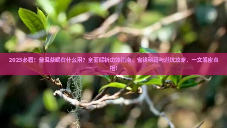 普洱茶喝有什么用
