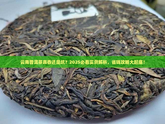 云南普洱茶值不值钱买