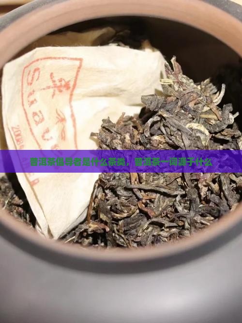 普洱茶倡导者是什么茶