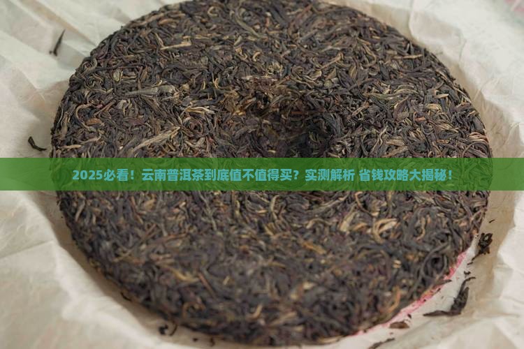 云南的普洱茶值得够买吗