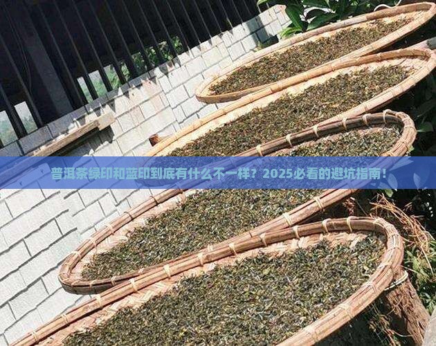 普洱茶绿印和蓝印