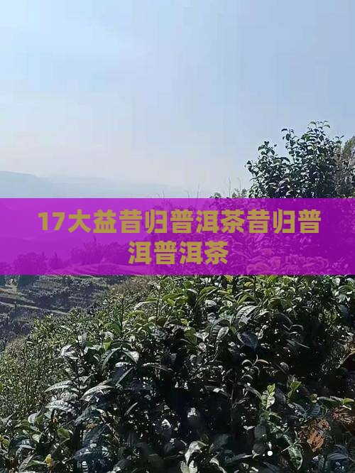 17大益昔归普洱生茶