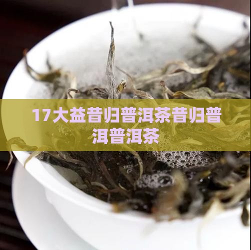 17大益昔归普洱生茶