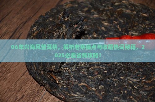 06年兴海风普洱茶