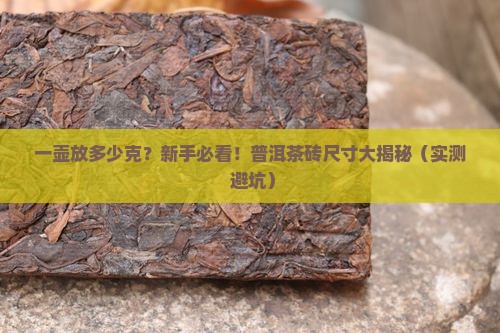 普洱茶一壶放多少克普洱茶砖尺寸