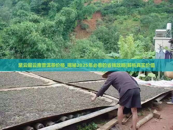 紫云阁云南普洱茶价格