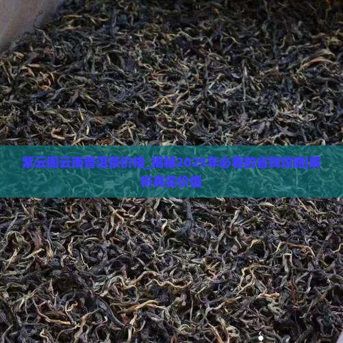 紫云阁云南普洱茶价格