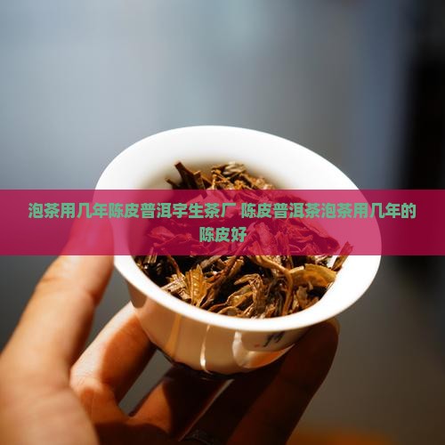 泡茶用几年陈皮普洱宇生茶厂
