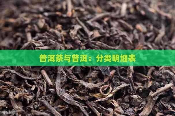 普洱茶的分类明细表