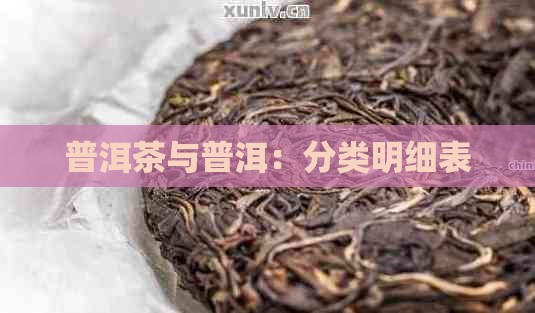普洱茶的分类明细表