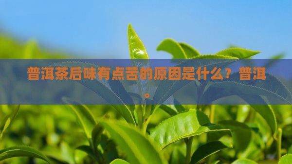 普洱茶后味有点苦
