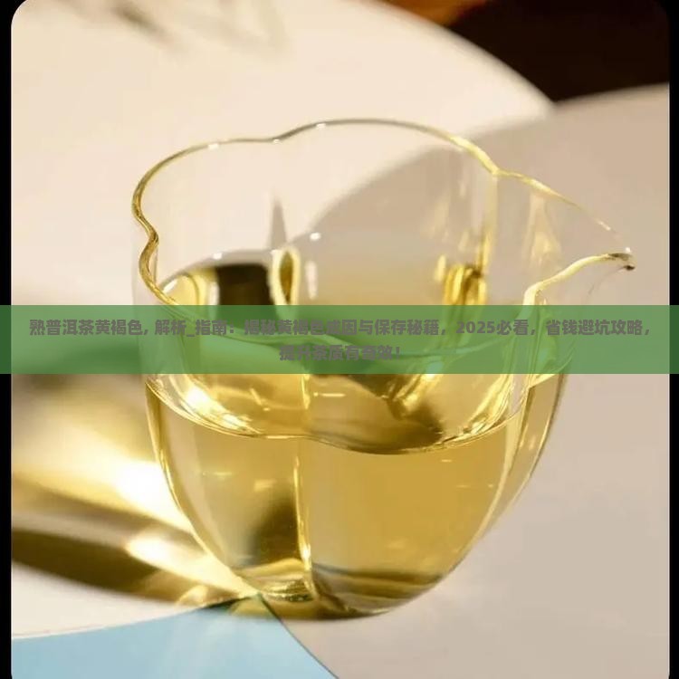 熟普洱茶黄褐色