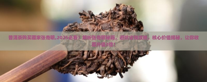 普洱茶购买藏家张奇明