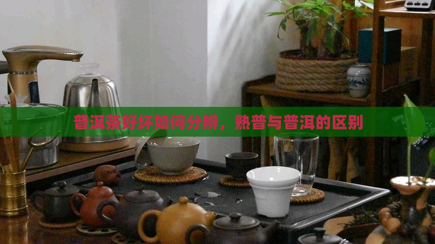 熟普洱茶好坏怎么分辨