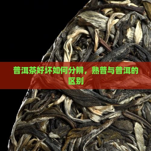 熟普洱茶好坏怎么分辨
