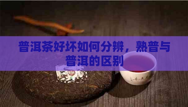 熟普洱茶好坏怎么分辨