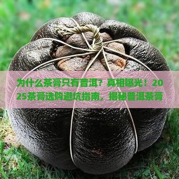 茶膏为什么只有普洱