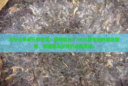 茶膏为什么只有普洱