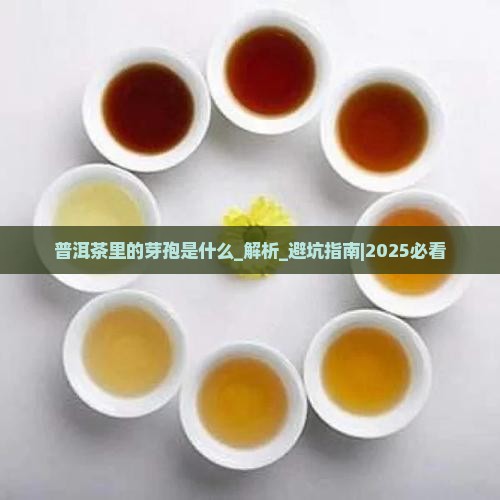 普洱茶里的芽孢是什么