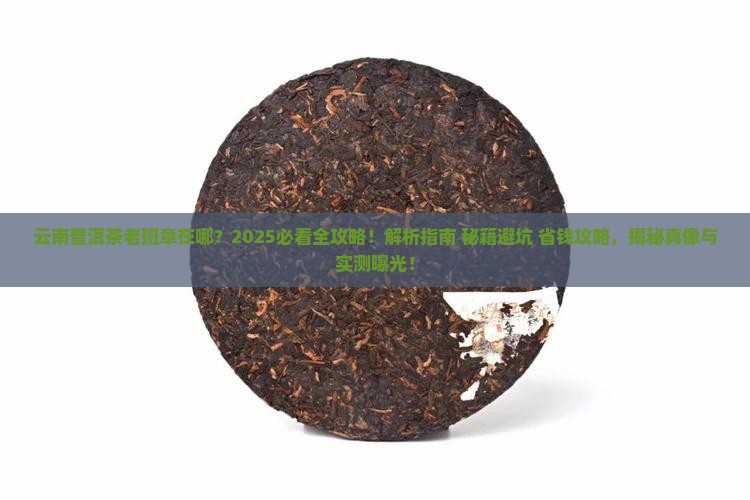 云南普洱茶老班章在哪