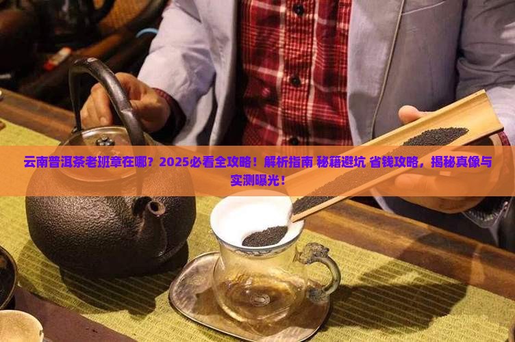 云南普洱茶老班章在哪