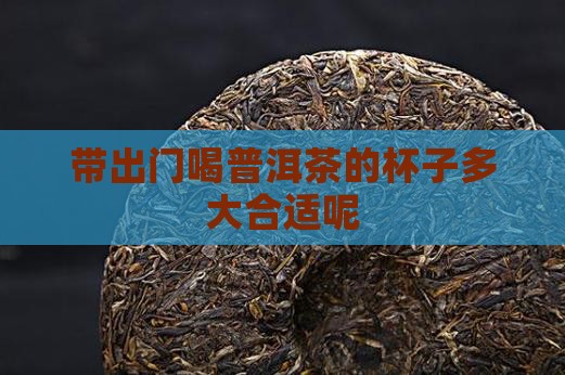 带出门喝普洱茶的杯子多大合适