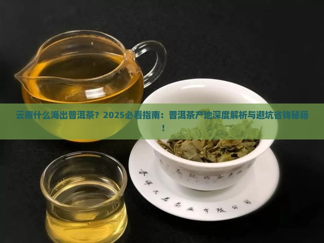 云南什么海出普洱茶