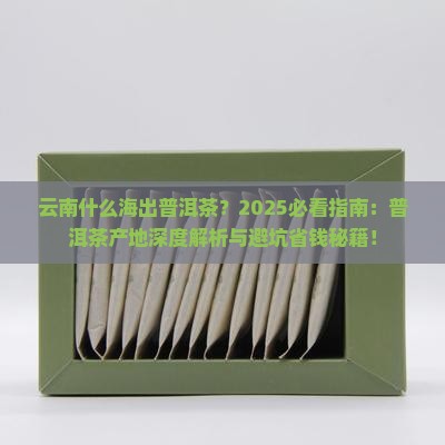 云南什么海出普洱茶