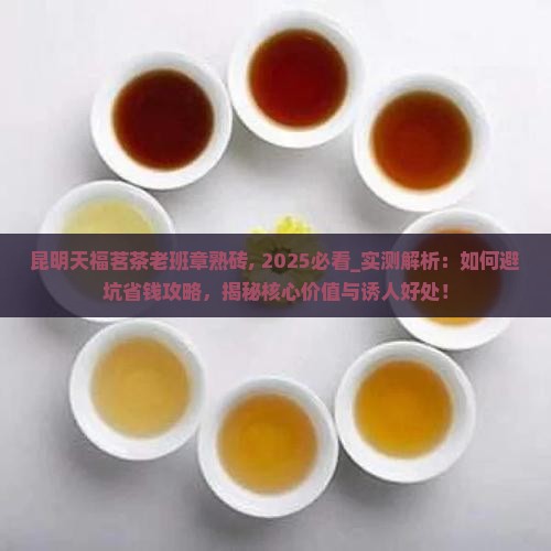 昆明天福茗茶老班章熟砖