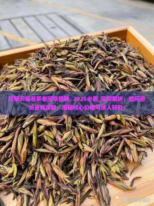 昆明天福茗茶老班章熟砖