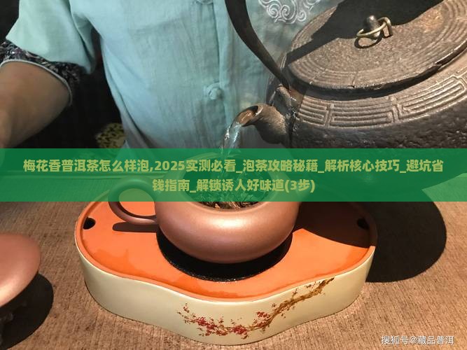 梅花香普洱茶怎么样泡