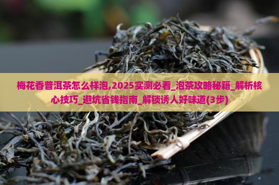 梅花香普洱茶怎么样泡